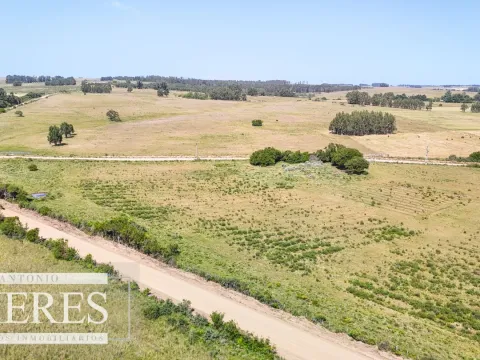 Chacra en venta de 5 ha en puntas de José Ignacio — foto 2