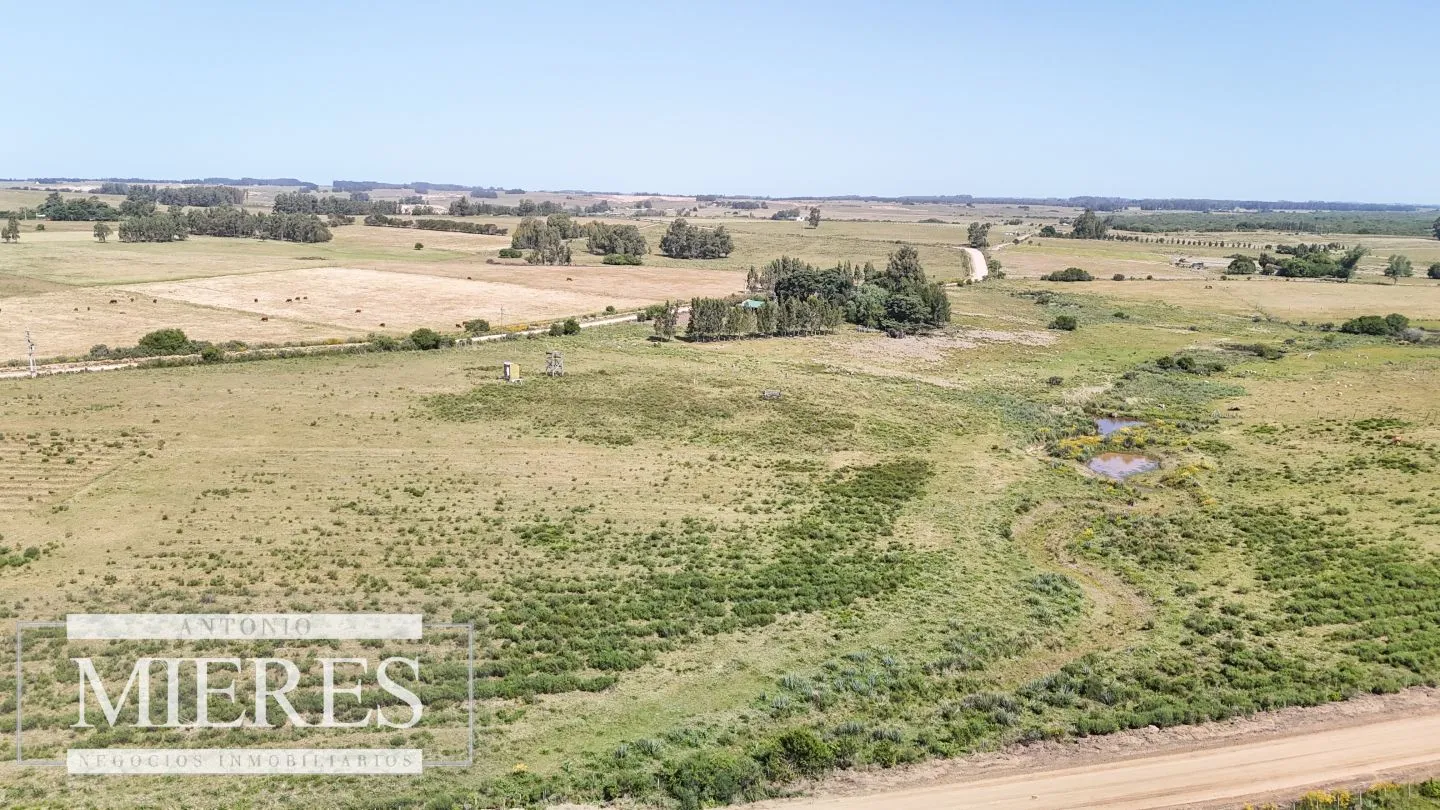 Chacra en venta de 5 ha en puntas de José Ignacio — foto 3