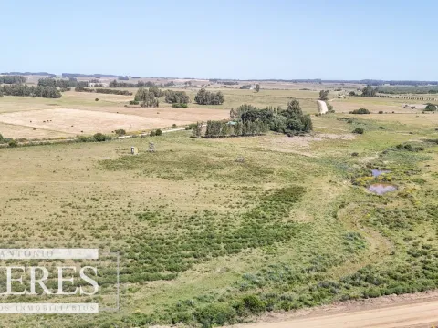 Chacra en venta de 5 ha en puntas de José Ignacio — foto 3