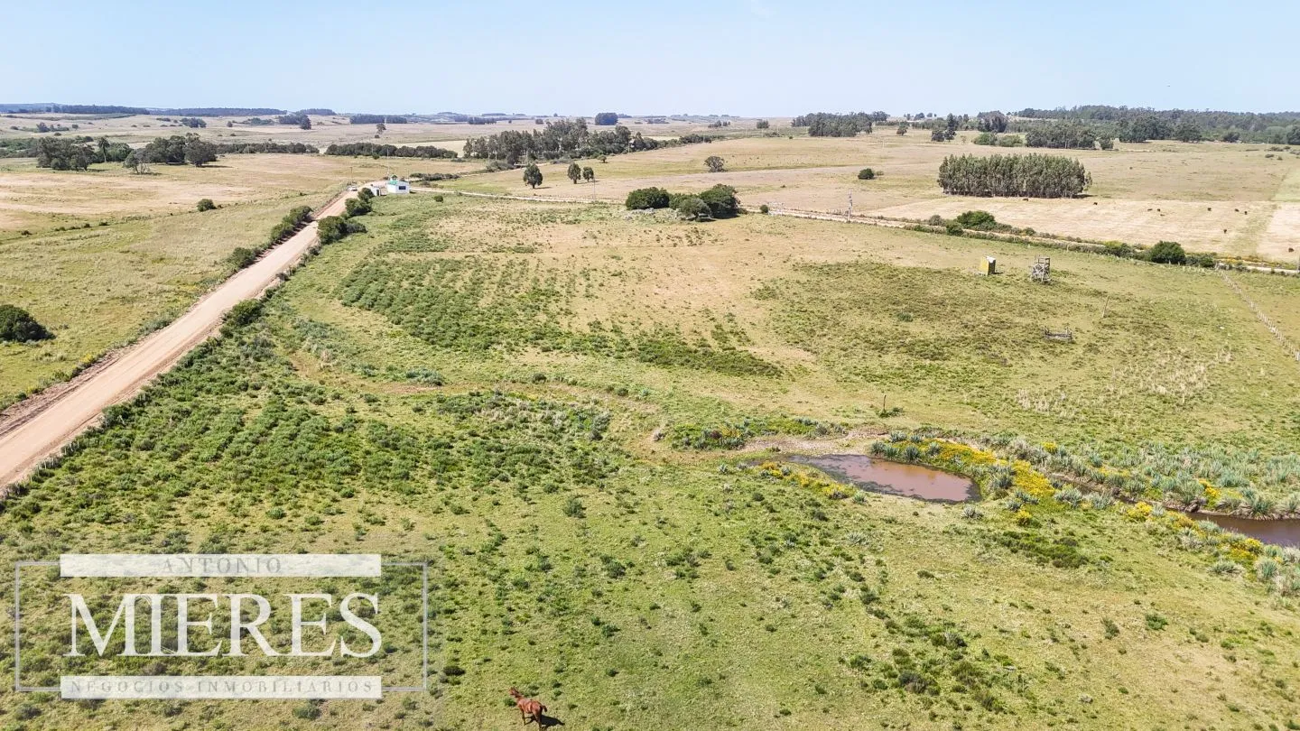 Chacra en venta de 5 ha en puntas de José Ignacio — foto 4