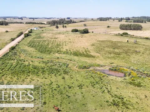 Chacra en venta de 5 ha en puntas de José Ignacio — foto 4