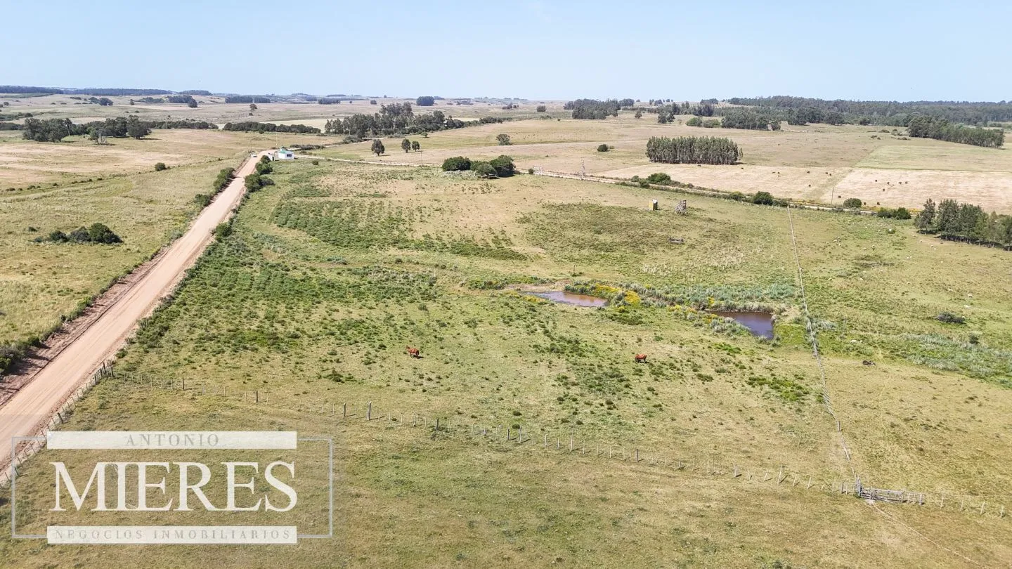 Chacra en venta de 5 ha en puntas de José Ignacio — foto 5