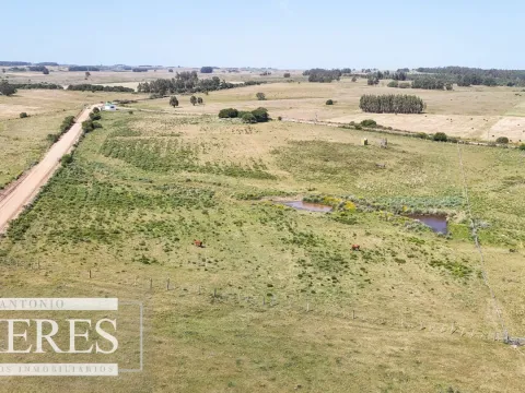 Chacra en venta de 5 ha en puntas de José Ignacio — foto 5