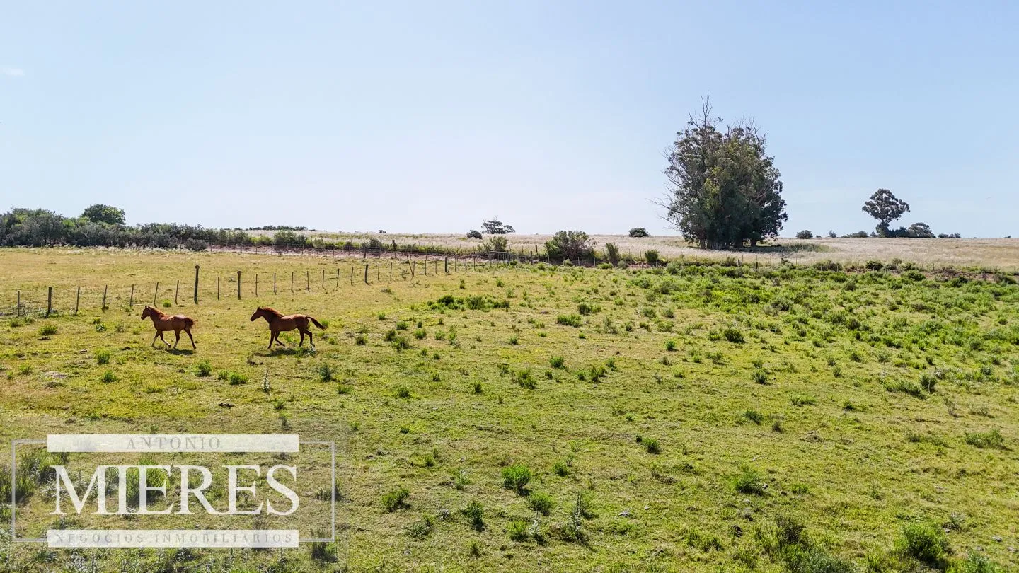 Chacra en venta de 5 ha en puntas de José Ignacio — foto 6