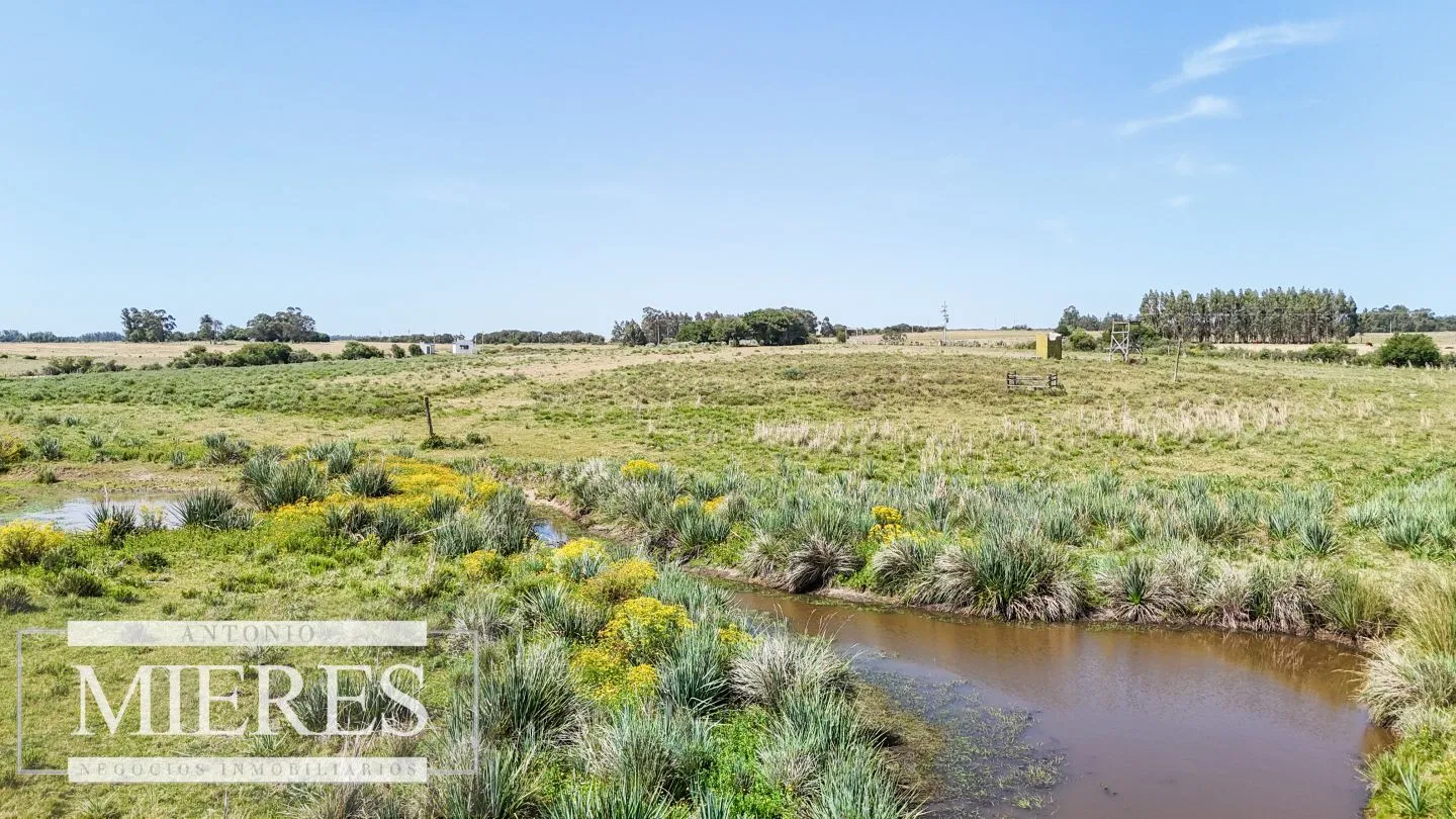 Chacra en venta de 5 ha en puntas de José Ignacio — foto 7