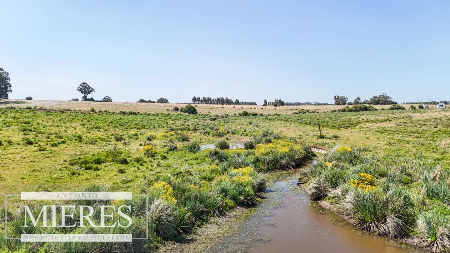 Chacra en venta de 5 ha en puntas de José Ignacio — foto 8