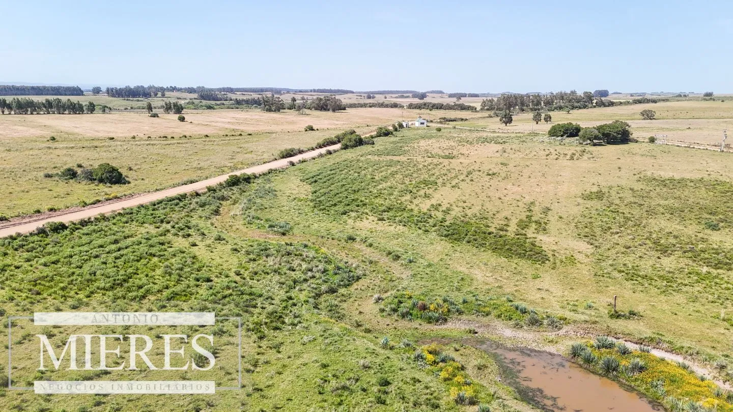 Chacra en venta de 5 ha en puntas de José Ignacio — foto 9