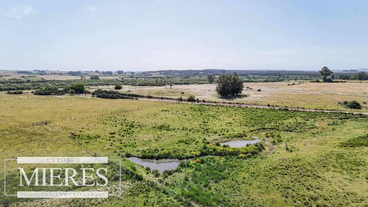 Chacra en venta de 5 ha en puntas de José Ignacio — foto 10