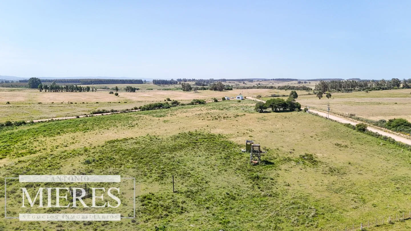 Chacra en venta de 5 ha en puntas de José Ignacio — foto 11