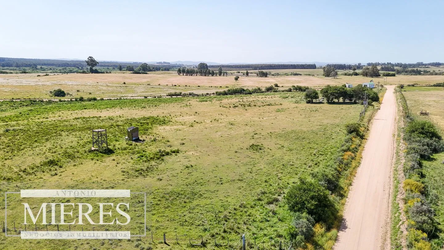 Chacra en venta de 5 ha en puntas de José Ignacio — foto 12