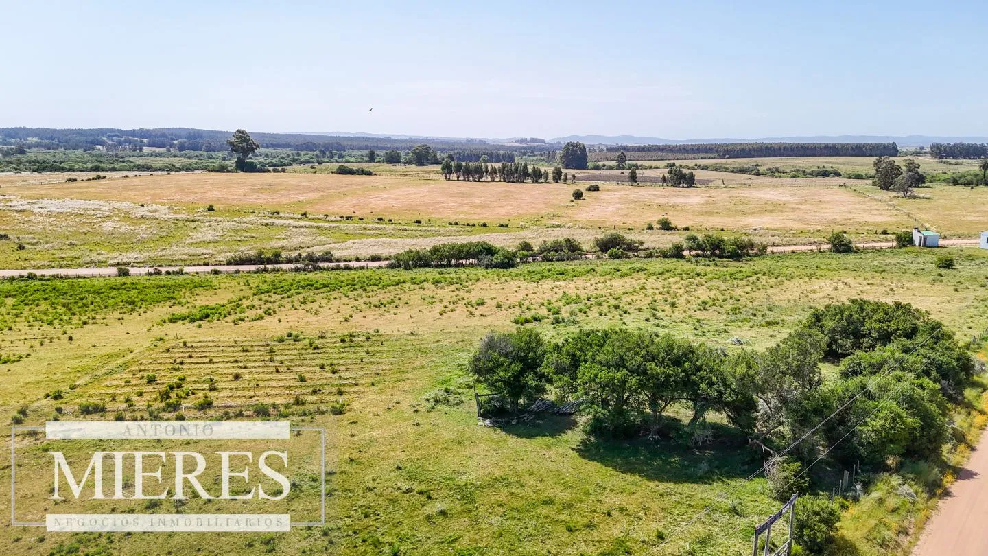 Chacra en venta de 5 ha en puntas de José Ignacio — foto 13