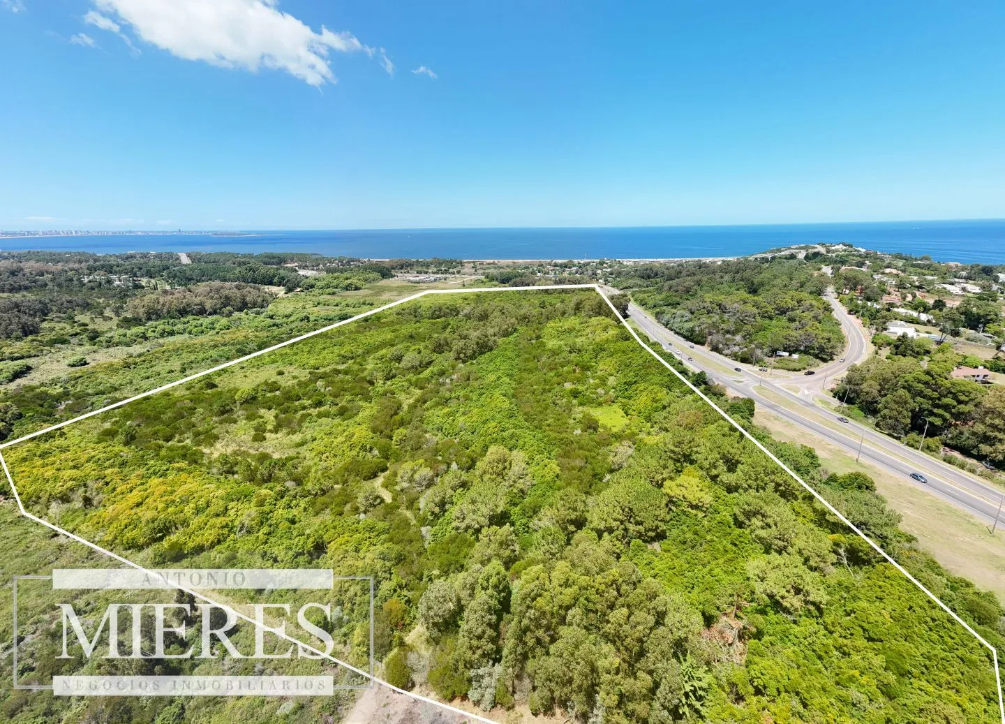 Terreno en Venta 22has- Punta Ballena — foto 1