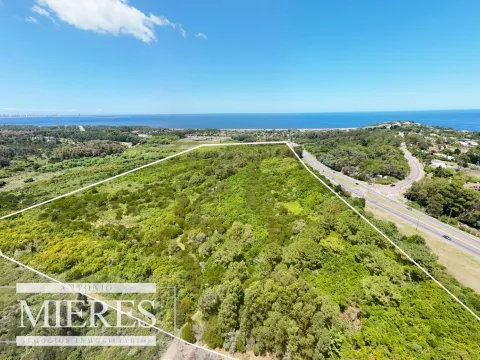 Terreno en Venta 22has- Punta Ballena