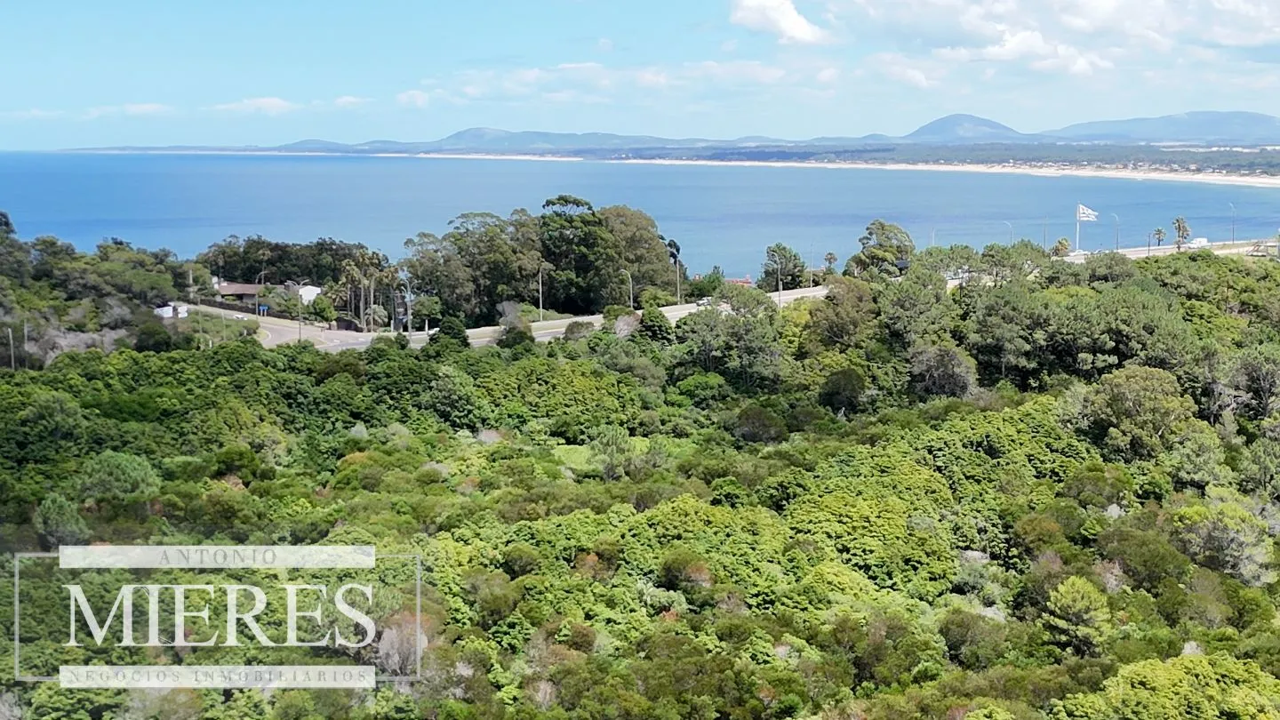 Terreno en Venta 22has- Punta Ballena — foto 2