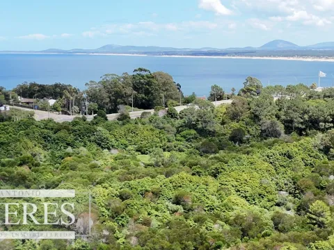 Terreno en Venta 22has- Punta Ballena — foto 2