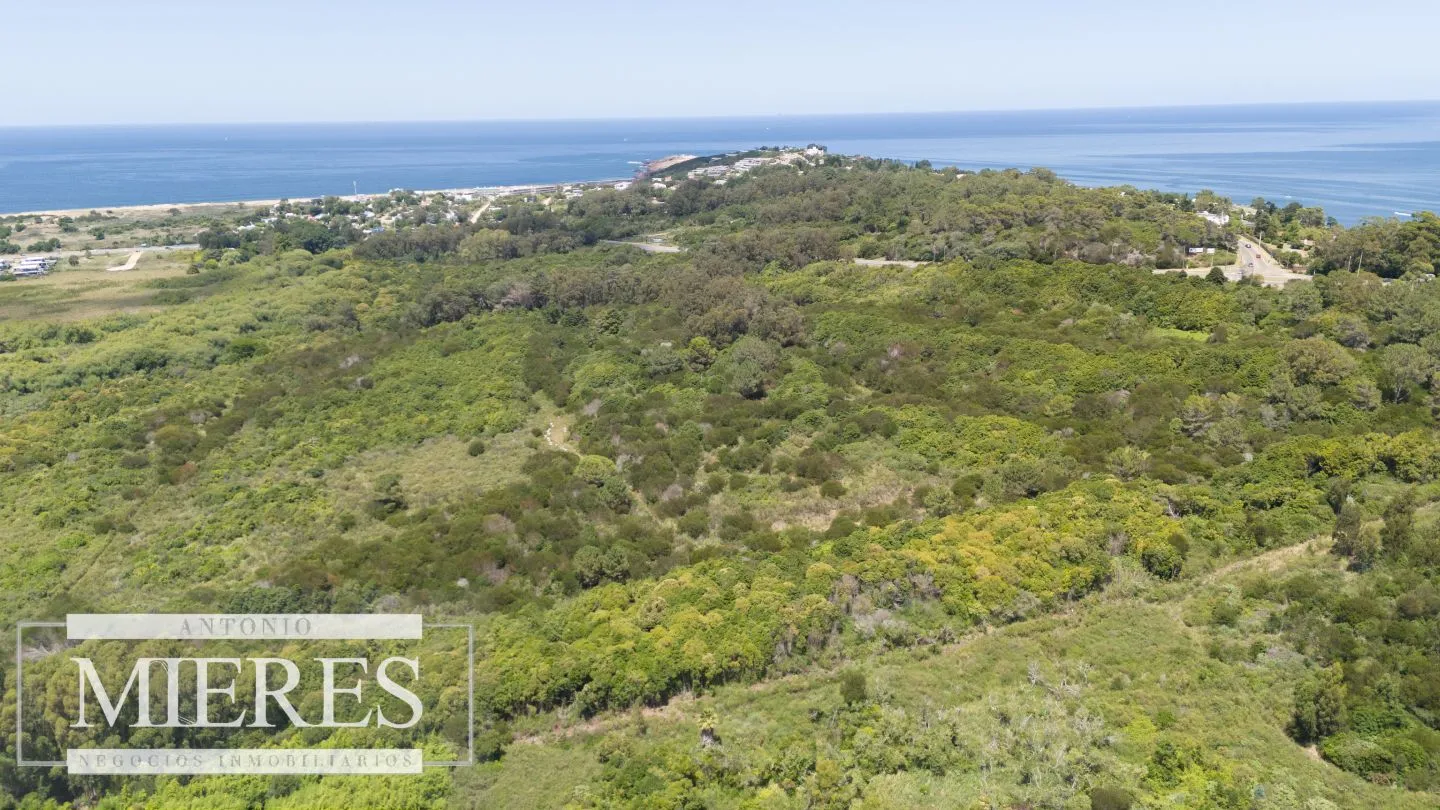 Terreno en Venta 22has- Punta Ballena — foto 3