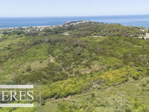 Terreno en Venta 22has- Punta Ballena — foto 3