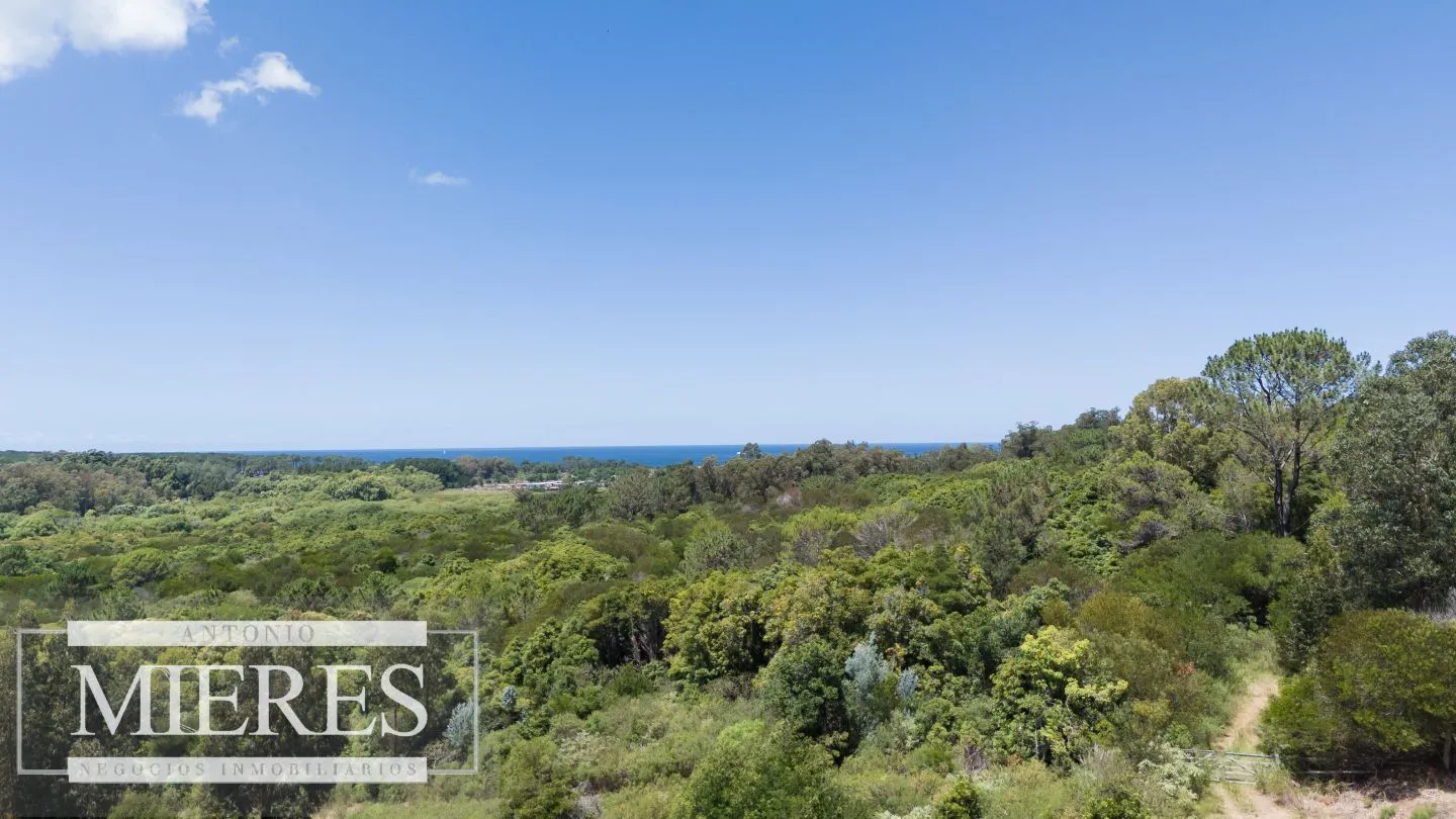 Terreno en Venta 22has- Punta Ballena — foto 4