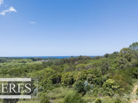 Terreno en Venta 22has- Punta Ballena — foto 4