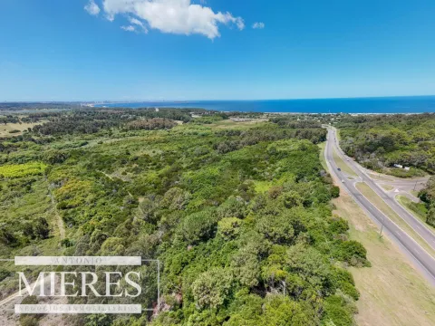 Terreno en Venta 22has- Punta Ballena — foto 5