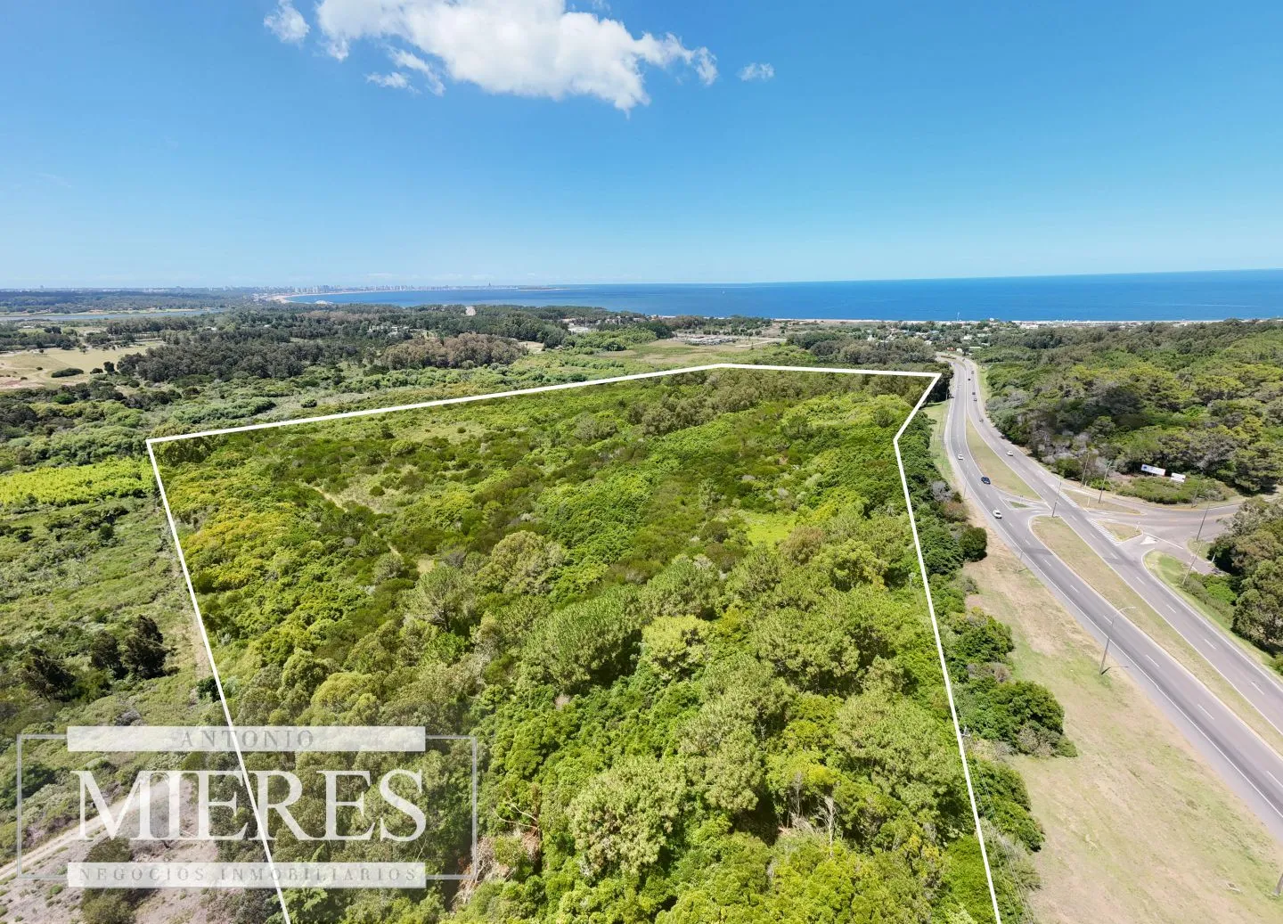 Terreno en Venta 22has- Punta Ballena — foto 6