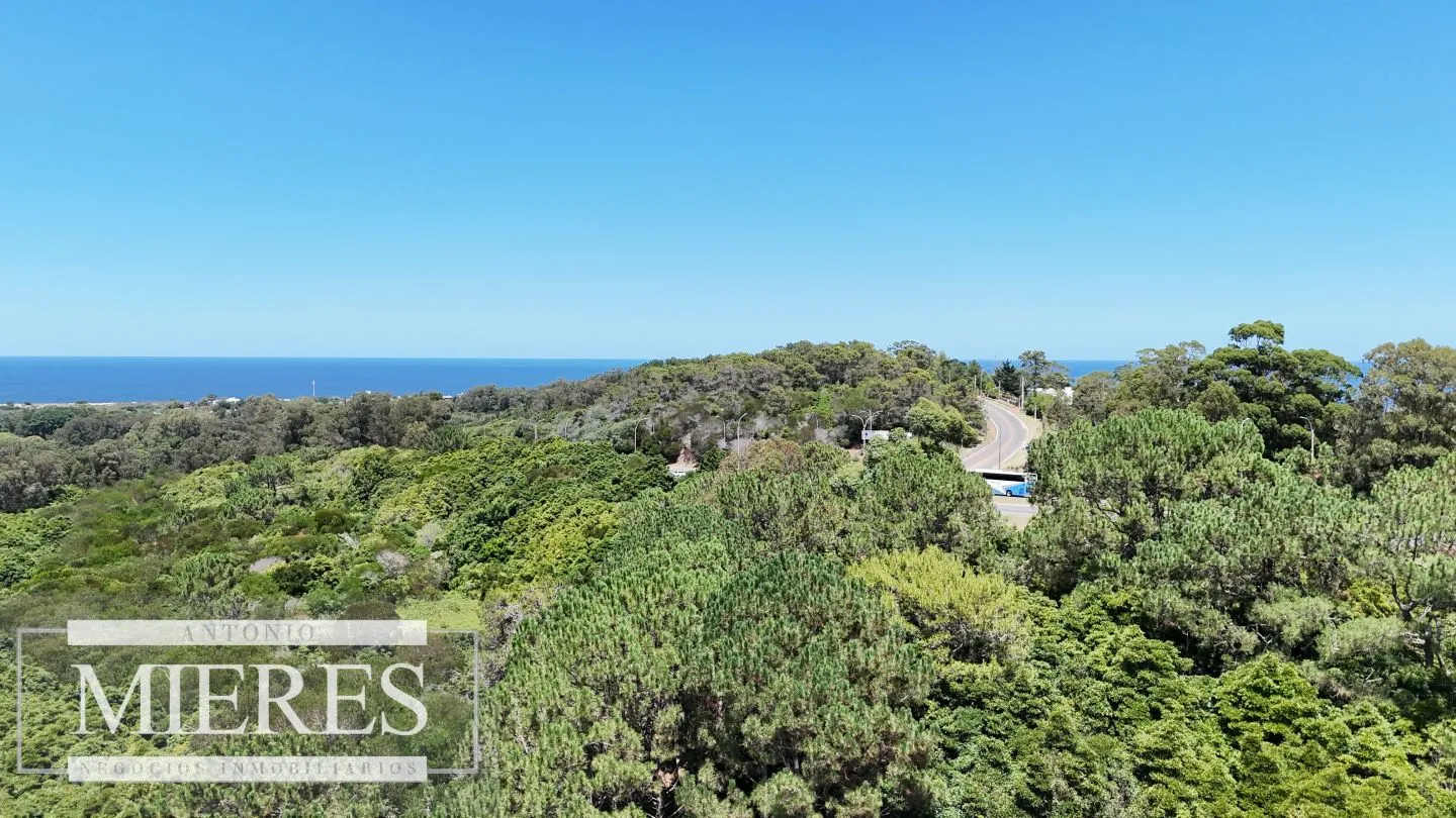 Terreno en Venta 22has- Punta Ballena — foto 7