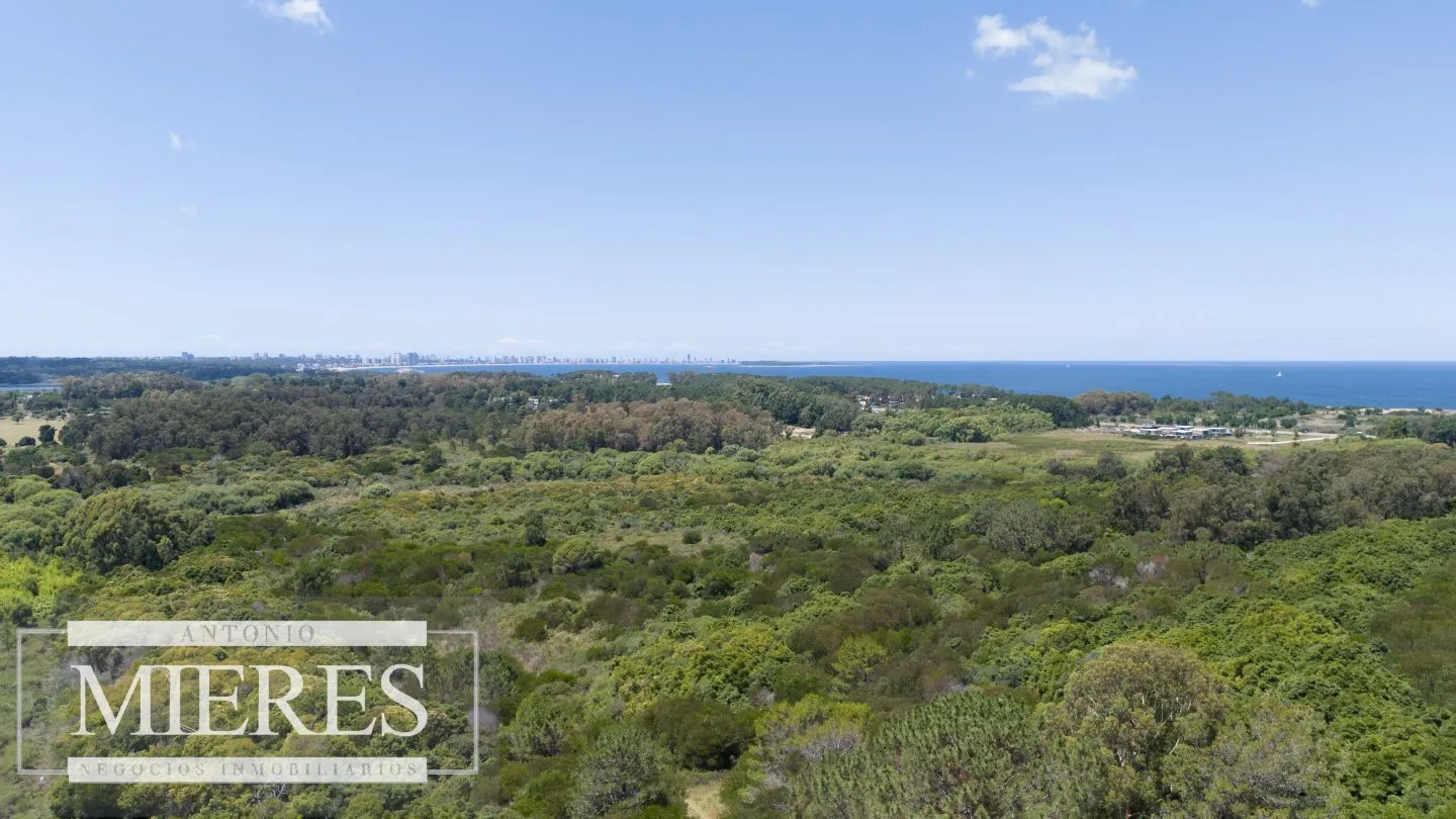Terreno en Venta 22has- Punta Ballena — foto 8