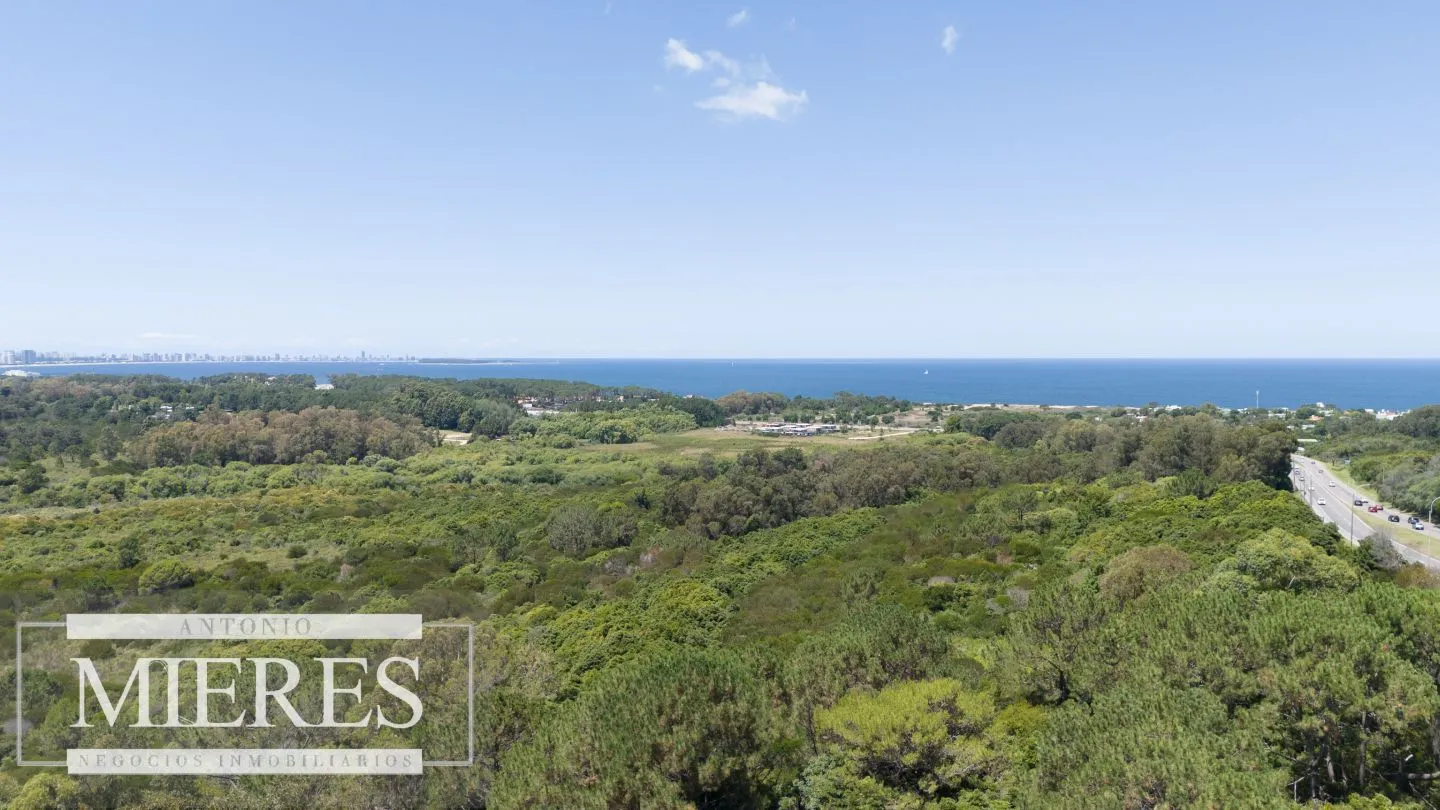 Terreno en Venta 22has- Punta Ballena — foto 11