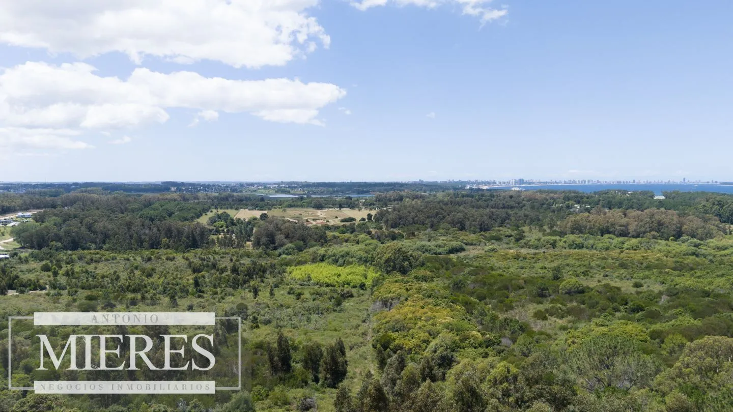 Terreno en Venta 22has- Punta Ballena — foto 12