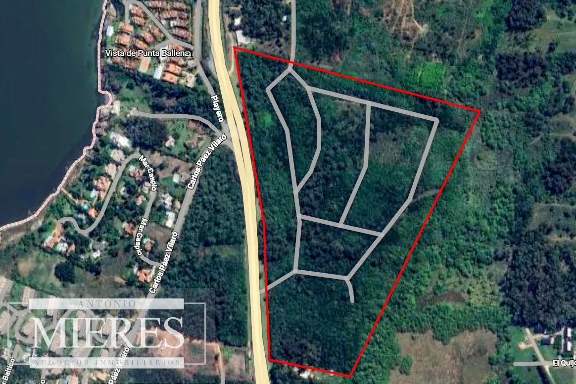 Terreno en Venta 22has- Punta Ballena — foto 13