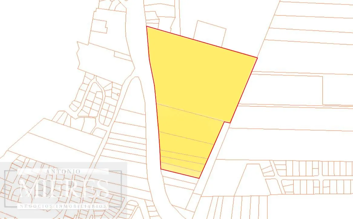 Terreno en Venta 22has- Punta Ballena — foto 14