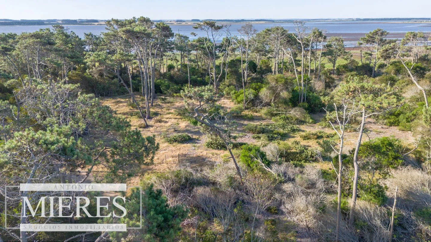 Venta de lote en El Caracol entre laguna y mar — foto 6