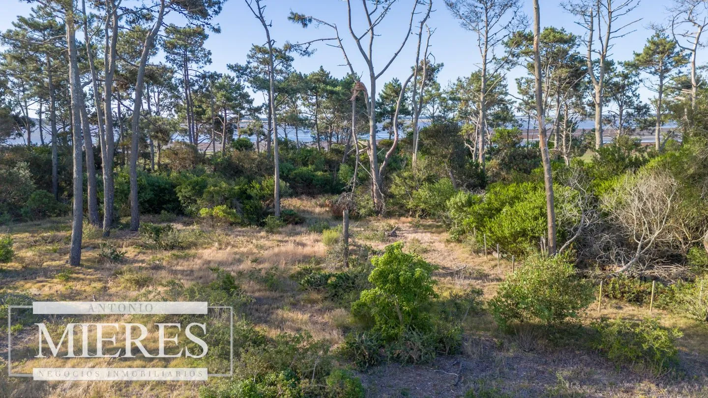 Venta de lote en El Caracol entre laguna y mar — foto 9
