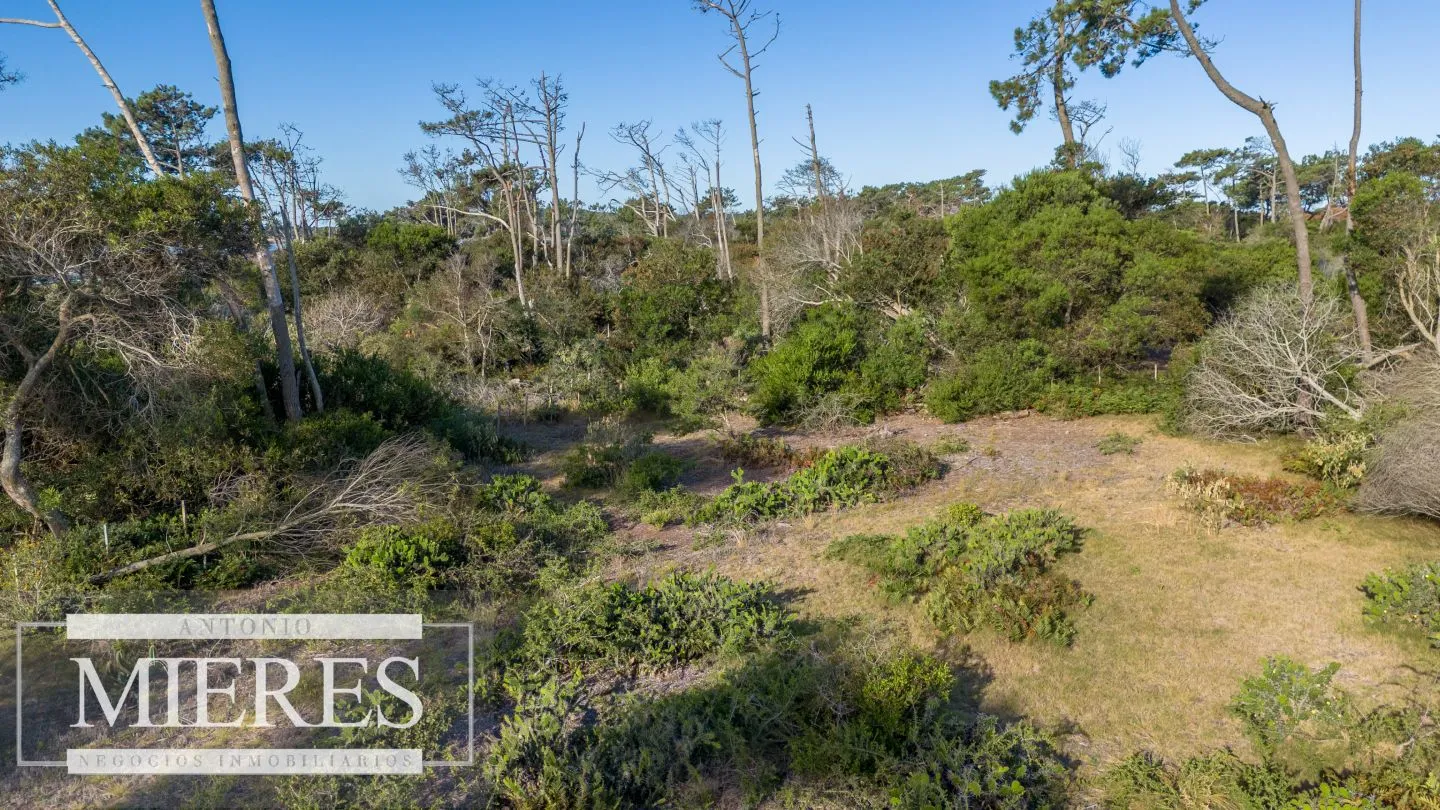 Venta de lote en El Caracol entre laguna y mar — foto 10