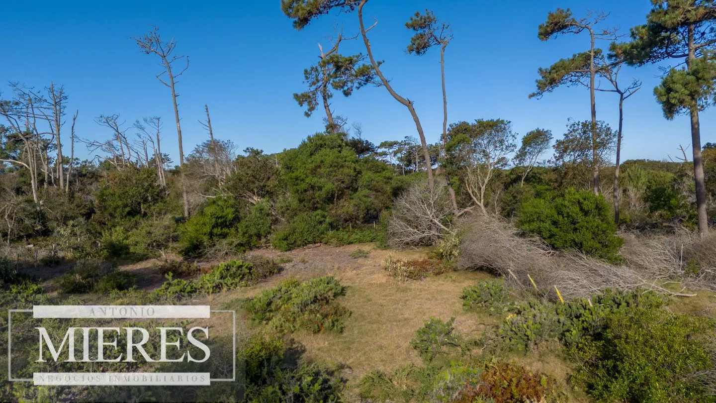 Venta de lote en El Caracol entre laguna y mar — foto 11