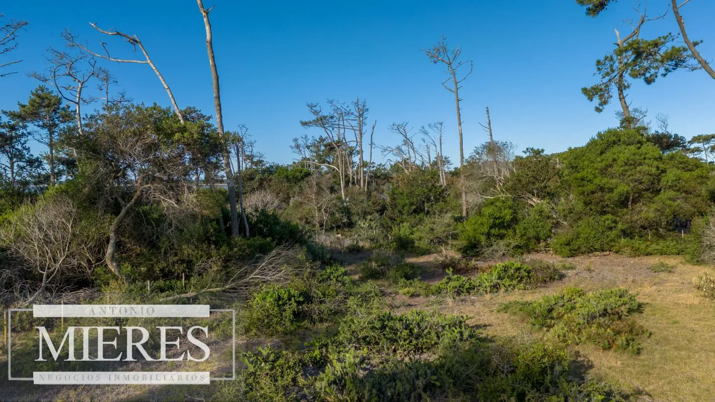 Venta de lote en El Caracol entre laguna y mar — foto 12