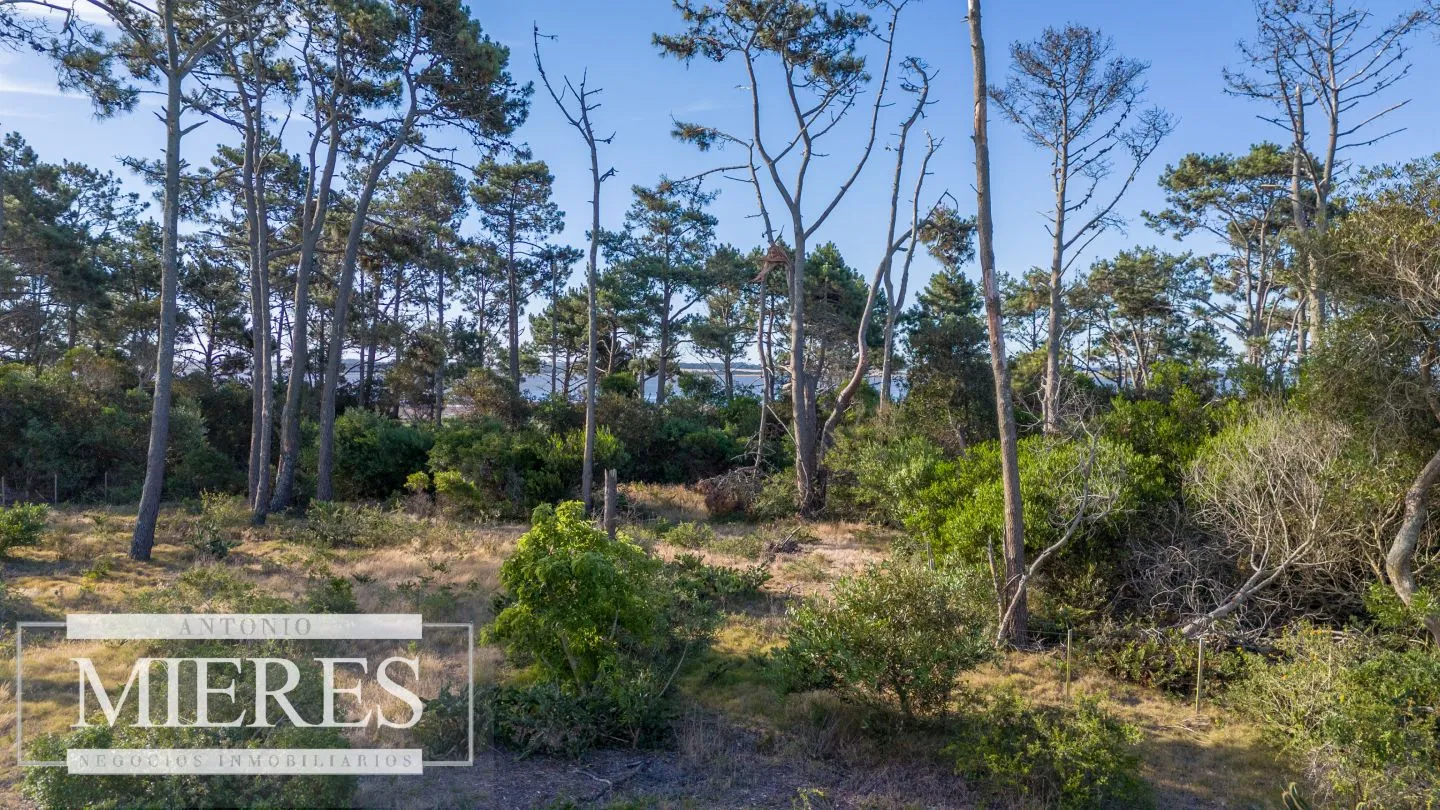 Venta de lote en El Caracol entre laguna y mar — foto 13