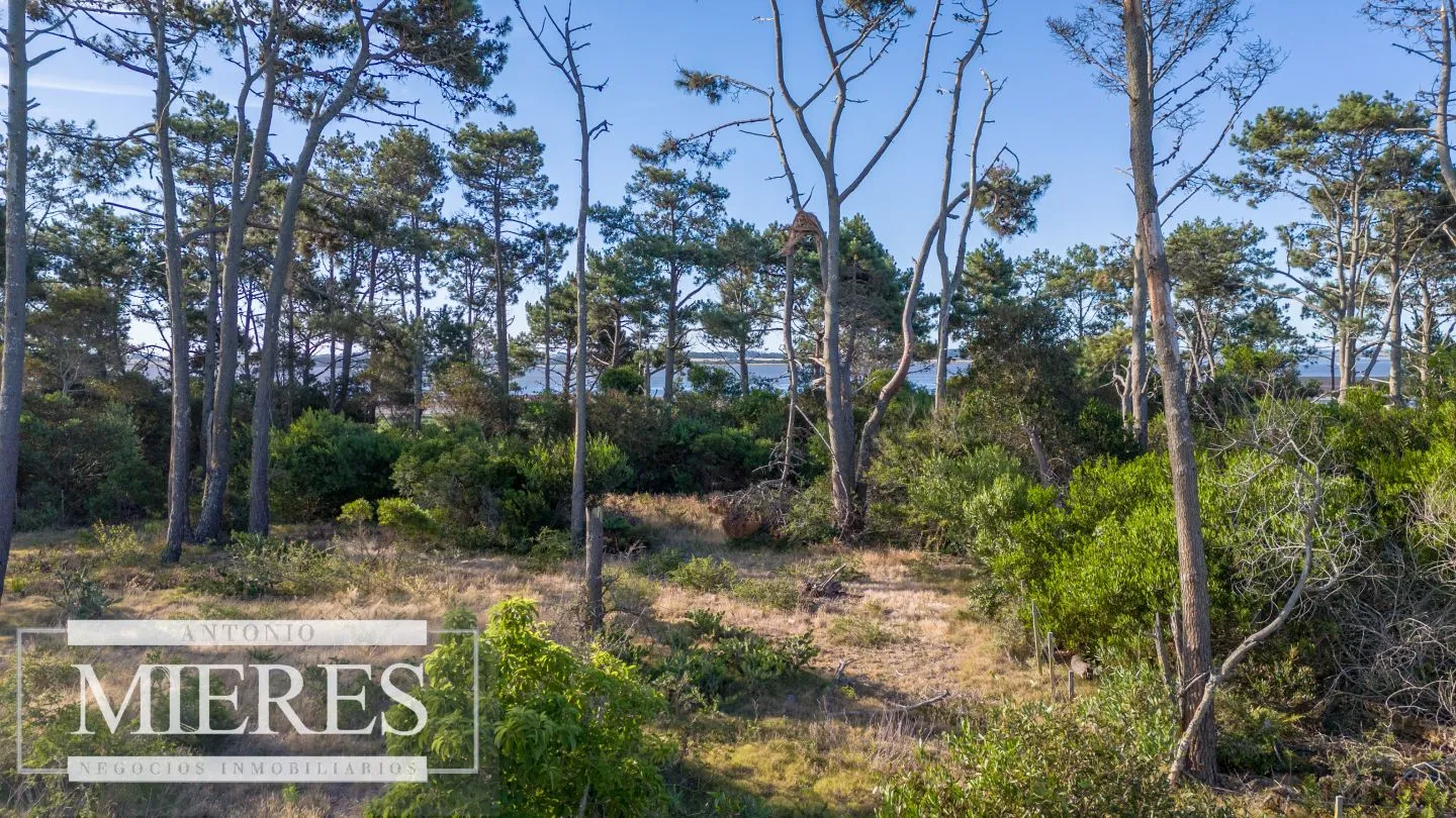 Venta de lote en El Caracol entre laguna y mar — foto 14