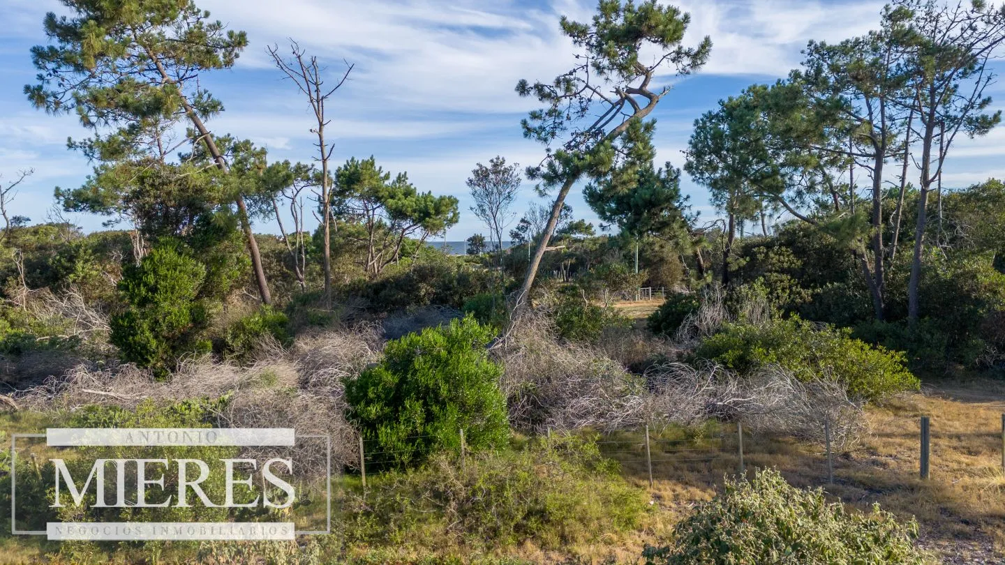 Venta de lote en El Caracol entre laguna y mar — foto 15