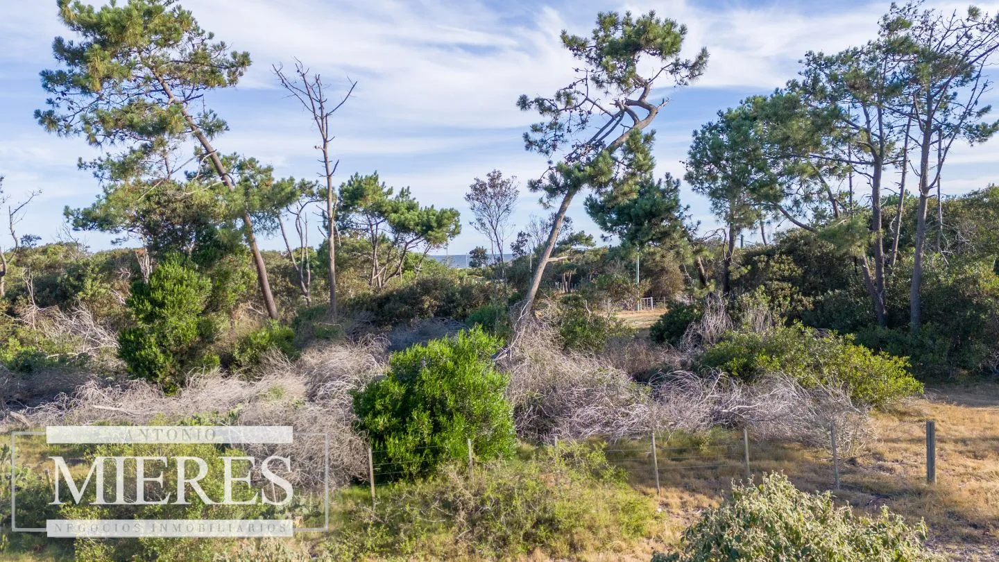 Venta de lote en El Caracol entre laguna y mar — foto 16