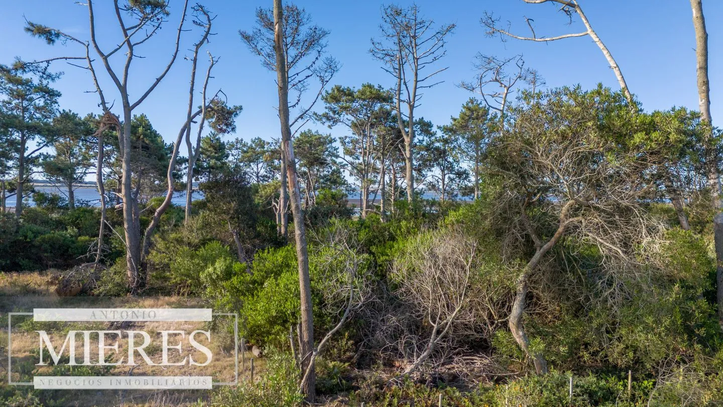 Venta de lote en El Caracol entre laguna y mar — foto 17