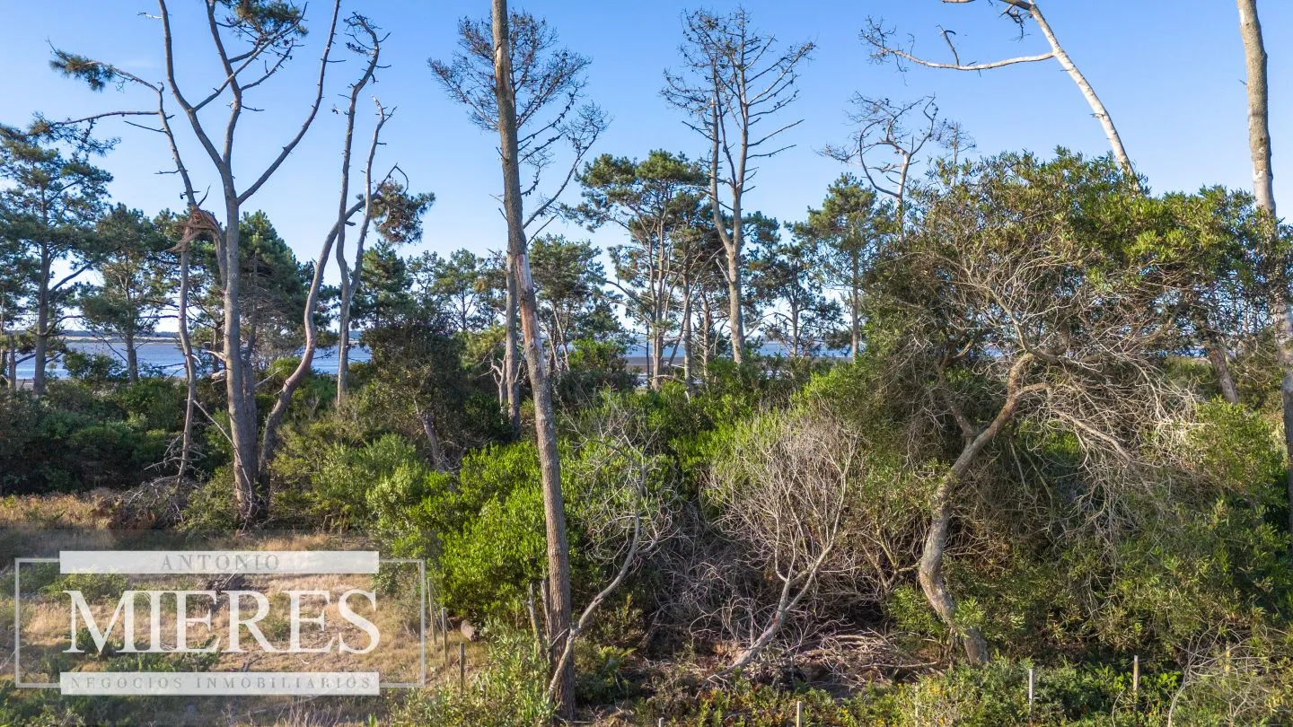 Venta de lote en El Caracol entre laguna y mar — foto 18