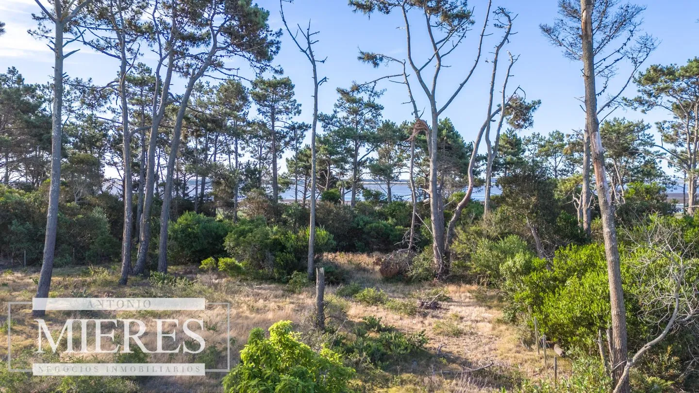 Venta de lote en El Caracol entre laguna y mar — foto 19