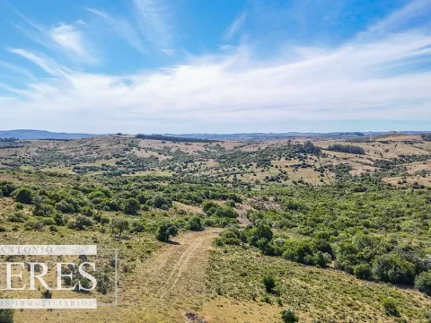 Fraccionamiento de 3 y 4 ha en sierras de Pueblo Edén