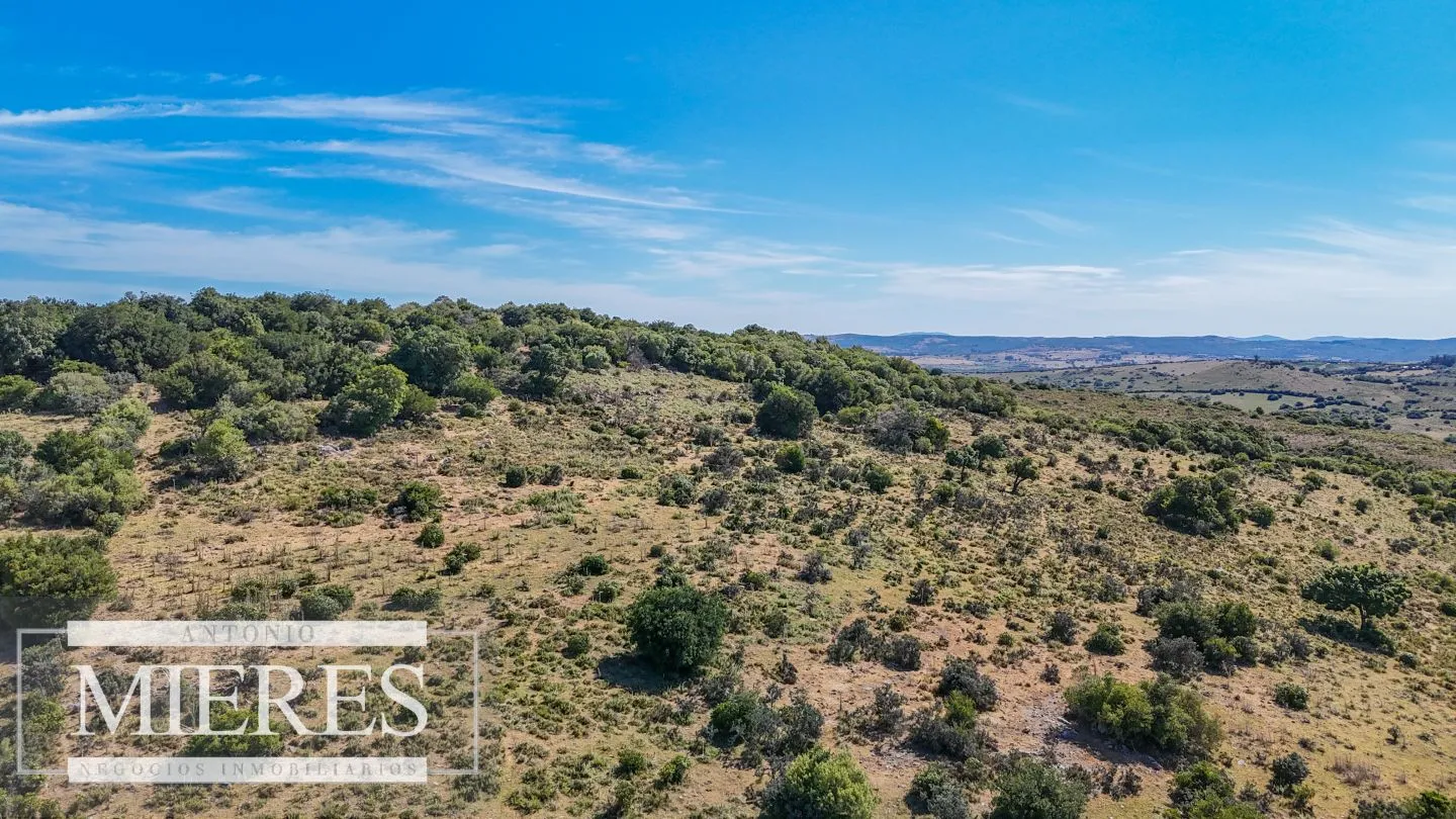 Fraccionamiento de 3 y 4 ha en sierras de Pueblo Edén — foto 2
