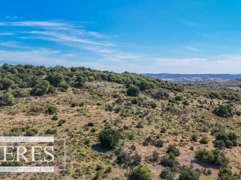 Fraccionamiento de 3 y 4 ha en sierras de Pueblo Edén — foto 2