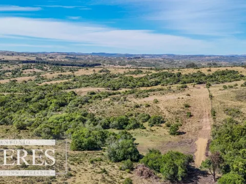 Fraccionamiento de 3 y 4 ha en sierras de Pueblo Edén — foto 4