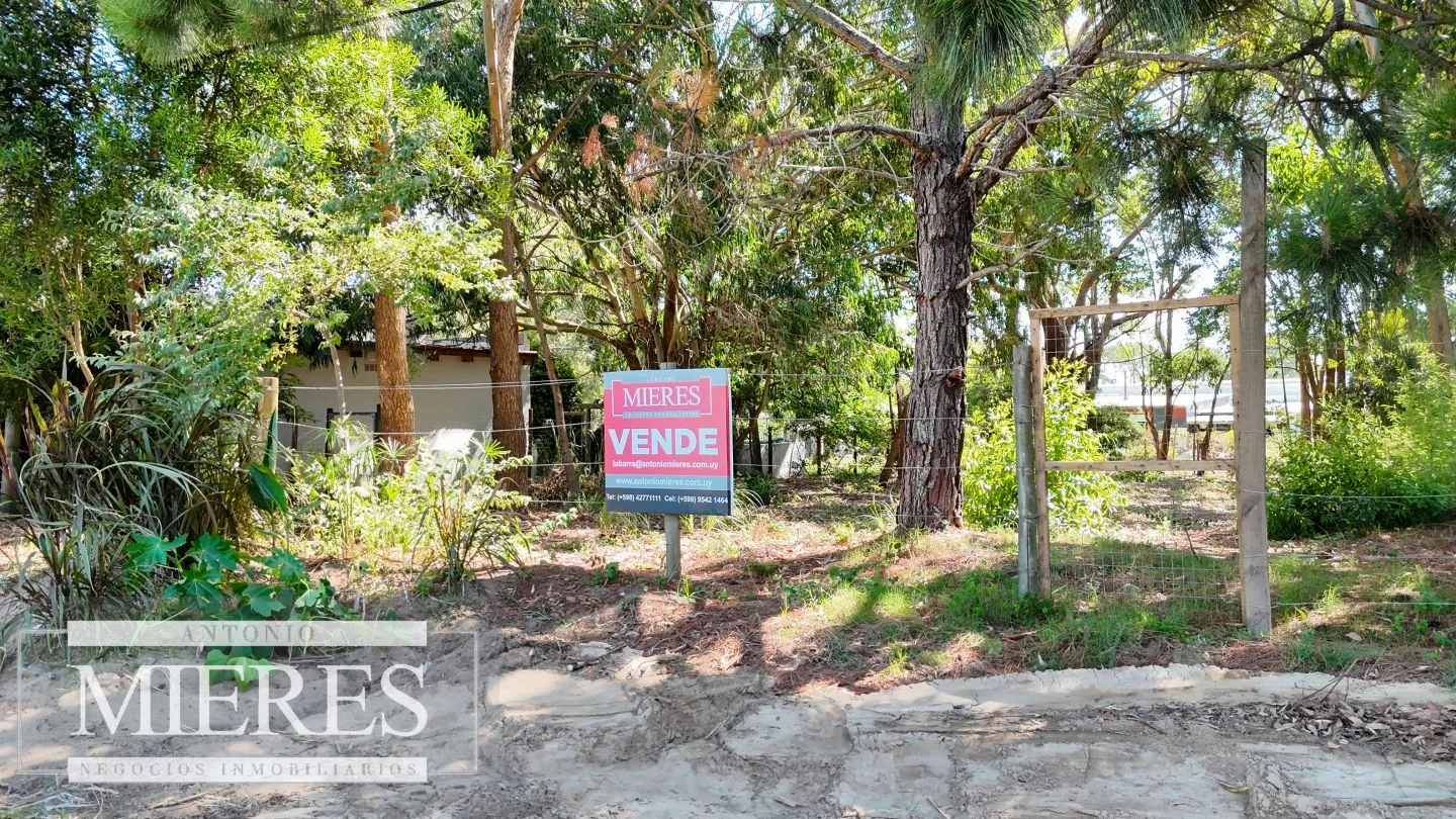 VENTA TERRENO 1001M2 EN LA BARRA — foto 4