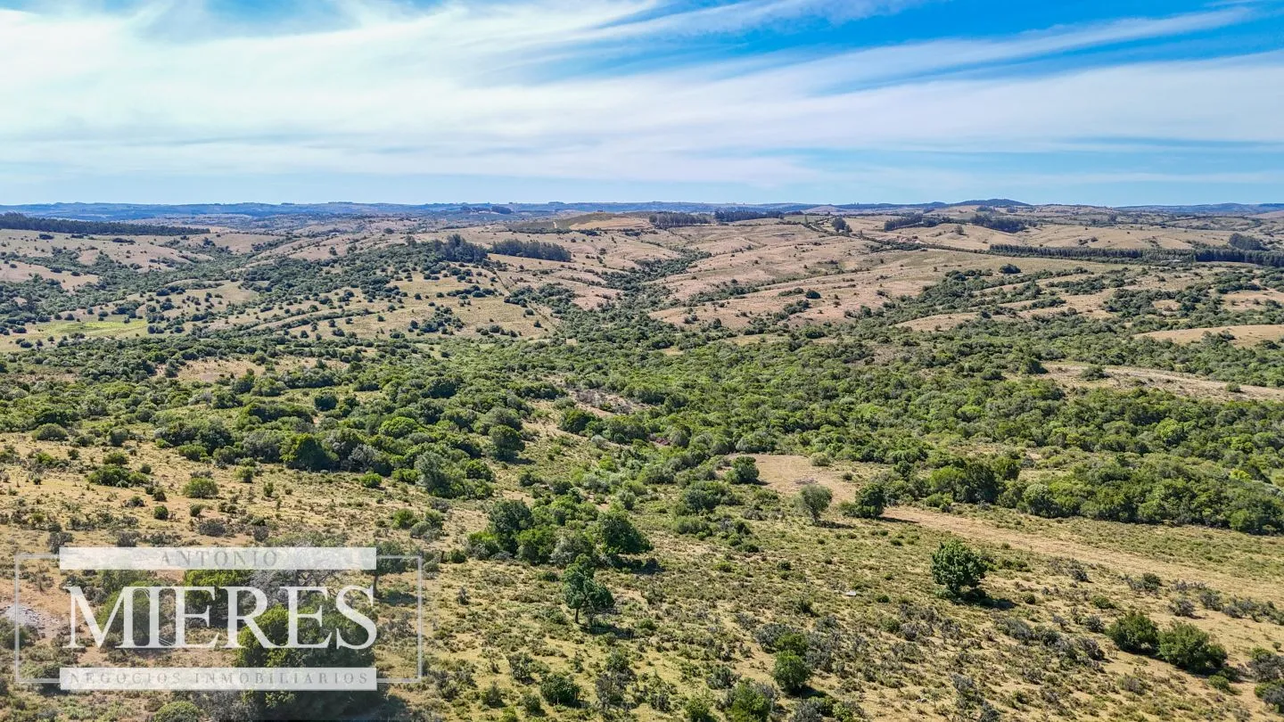 Fraccionamiento de 3 y 4 ha en sierras de Pueblo Edén — foto 6
