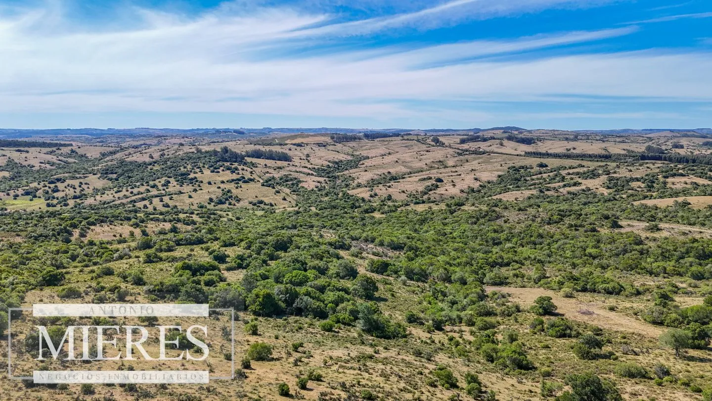 Fraccionamiento de 3 y 4 ha en sierras de Pueblo Edén — foto 9